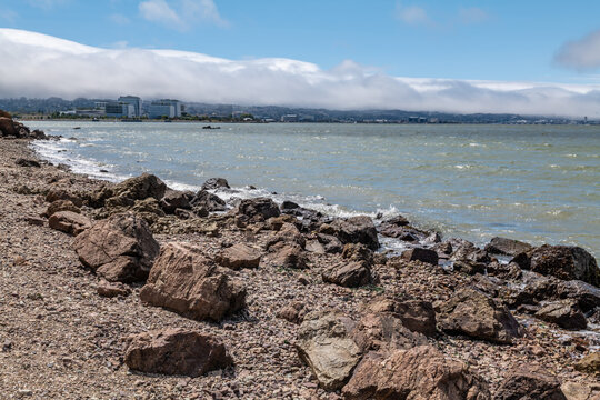  Chert / sedimentary rock. commonly with thin interlayers of reddish-brown shale, graywacke and greenstone. Coyote Point Beach, San Mateo, California. San Francisco Peninsula. San Francisco Bay

