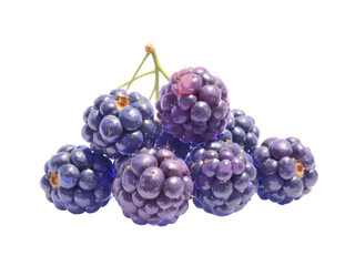 Fototapeta premium grapes isolated on white