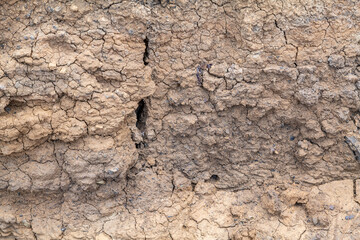 Young landslide deposits ( Holocene ),  Coyote Point Beach, San Mateo, California. San Francisco / Bay