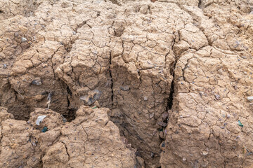 Young landslide deposits ( Holocene ),  Coyote Point Beach, San Mateo, California. San Francisco / Bay