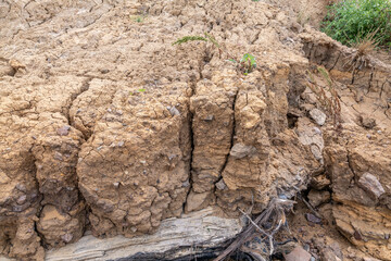 Young landslide deposits ( Holocene ),  Coyote Point Beach, San Mateo, California. San Francisco / Bay