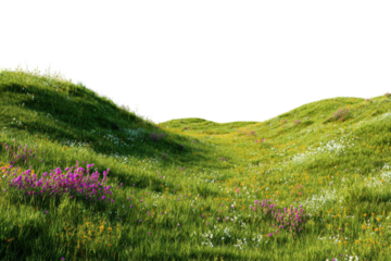 Lush meadow landscape with rolling hills