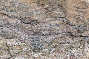 Chert / sedimentary rock. commonly with thin interlayers of reddish-brown shale, graywacke and greenstone. Coyote Point, San Mateo, California. San Francisco / Bay