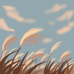 秋の空とすすきの風景