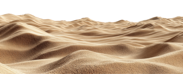 Vast desert dunes stretch across the horizon