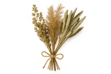 Bouquet of dried flowers with transparent background for easy integration