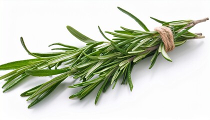 Fototapeta premium rosemary twigs isolated on white background