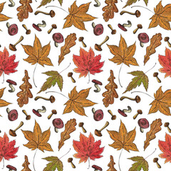 Obraz premium Seamless pattern of maple leaves and mushrooms. Hand drawn illustration with watercolor and ink. Drawing for poster, tableware, postcards, scrapbooking. Autumn, tree, vegetables, foliage, orange