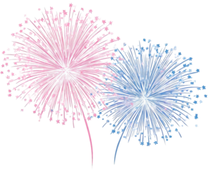 Two vibrant fireworks bursts in pink and blue