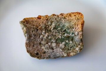 spoiled, old moldy food on white round plate in top view