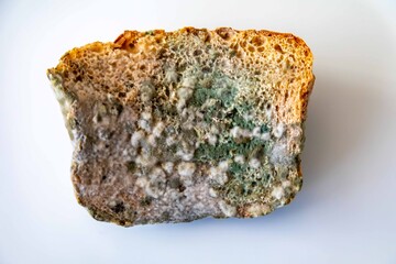 spoiled, old moldy food on white round plate in top view