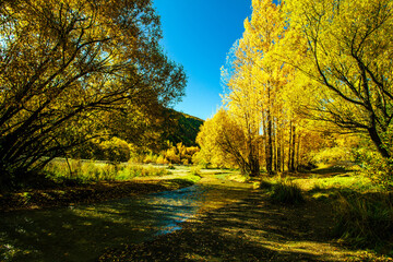 .Arrow Town New Zealand in Autumn.
