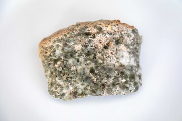 Obraz premium spoiled, old moldy food on white round plate in top view