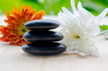 Fototapeta premium Dual flowers white and yellow beside stacked stones simple calm look with customizable space for text