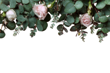 Delicate floral border against a dark backdrop