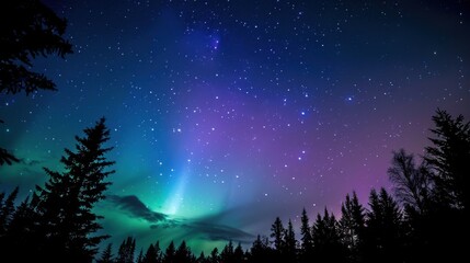 Naklejka premium Aurora Borealis Wallpaper: Glowing Green & Blue Northern Lights Over Arctic Night Sky