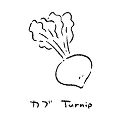 手描きのカブ2_名称入_白黒