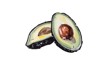Hand-drawn avocado illustration. Charm. Hand-drawn style. Brush-drawn ingredients. Nut. Moisture. Imported. Vitamin. Beauty. Beautiful skin. Dietary fiber. Water.