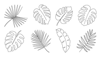 Elegant tropical leaf outlines create a modern, minimalist botanical collection perfect for sophisticated design projects