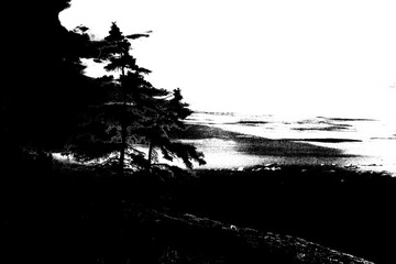 Fototapeta premium Black and white background with trees and pines and a coastline. Illustration of a riverside with an horizon and pines. Landscape illustration.