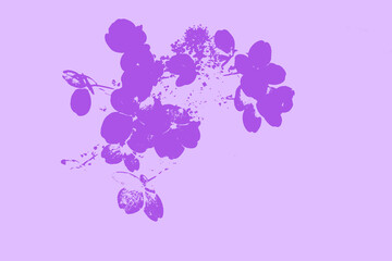 Illustration of a purple floral background. Drawing or illustration for card with flowers.