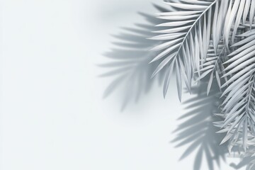 Light gray palm fronds cast soft shadows on a pale background