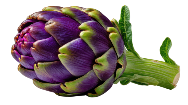 Artichoke in Bloom: A close-up view of a vibrant artichoke, showcasing its layered petals and green stem, a symbol of freshness and culinary delight.