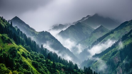 Obraz premium Misty mountain range landscape serene nature scene rolling hills cloudy sky panoramic view tranquil environment