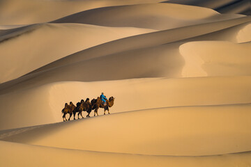 A Camel Caravan Adventure Trekking Through Serene Sand Dunes in Desert