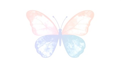 Delicate pastel butterfly illustration