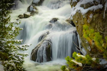 Beautiful waterfall in the forest