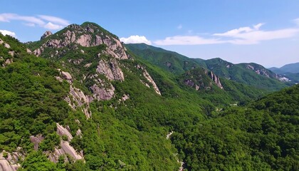 Mountain valley panorama