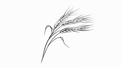 Obraz premium Minimalist Abstract Wheat Art: Linear Outlines & Grains on White Background – Editable Design