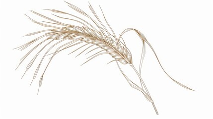 Minimalist Abstract Wheat Art: Linear Outlines & Grains on White Background – Editable Design