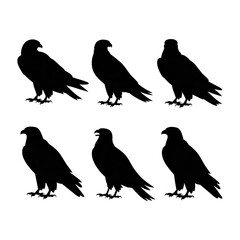 Six Majestic Eagle Silhouettes: Elegant, Minimalist Line Art, Dark Background.