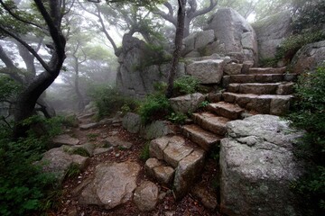 Fototapeta premium Stone steps winding through a misty mountain forest.