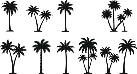 Palm tree silhouette collection, tropical nature design, beach tree vector, summer holiday illustration, exotic island symbol, outdoor eco artwork, travel background