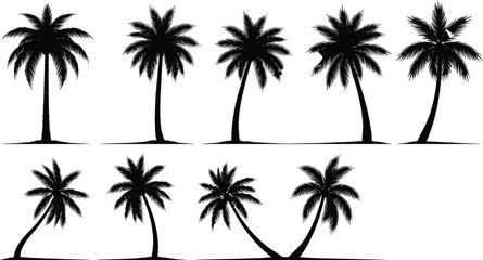 Palm tree silhouette vector, tropical coconut tree illustration, beach palm design, summer island tree art, nature paradise element, exotic jungle shape