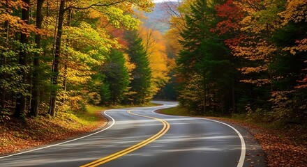 Obraz premium Scenic Winding Road Through Colorful Autumn Forest Trees