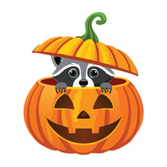 Cute raccoon character wearing a pumpkin hat, ready for a fun and spooky Halloween adventure