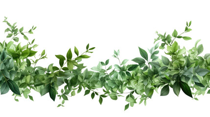 Obraz premium greenery leaves border on white background