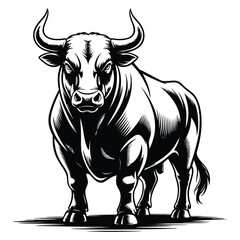 black and white bull