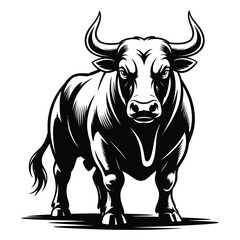 black and white bull