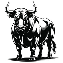 black and white bull