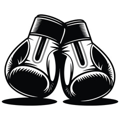 pair of boxing gloves