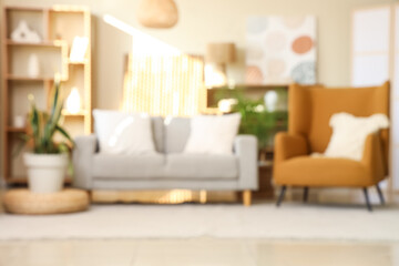 Blurred view of living room with comfortable sofa and brown armchair