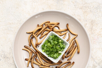 Plate with fried maggots and bowl of green onion on white background