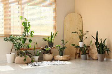 Wooden bench with different houseplants near window in room