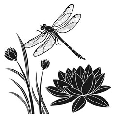 Obraz premium dragonfly on a flower