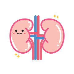 人の臓器キャラクター　健康な腎臓